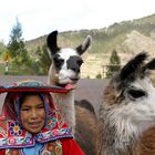 Freunde - Mitten in Peru