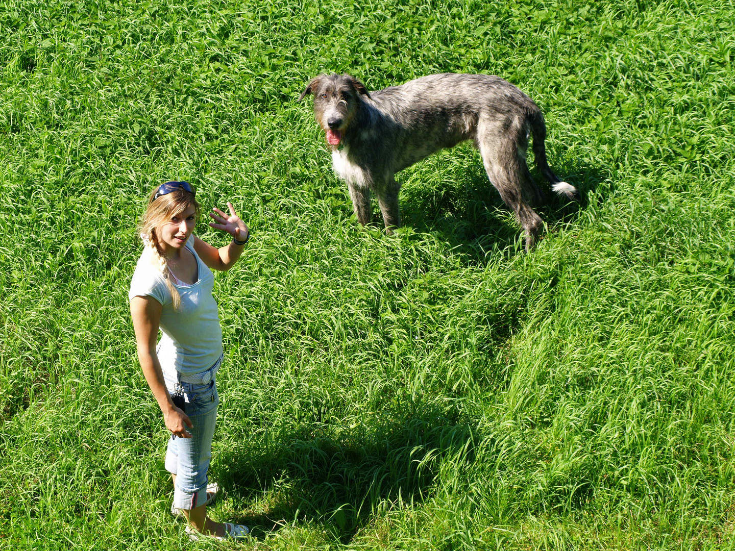 Freunde von Oben