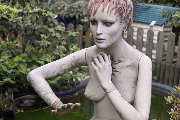 Freundin eines Freundes