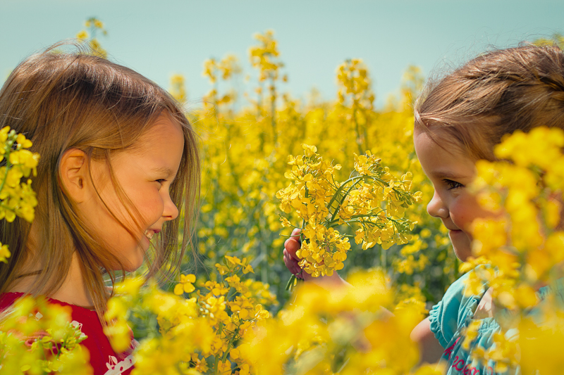 Freundinnen im Rapsfeld (Kinder-Portrait)