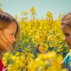 Freundinnen im Rapsfeld (Kinder-Portrait)