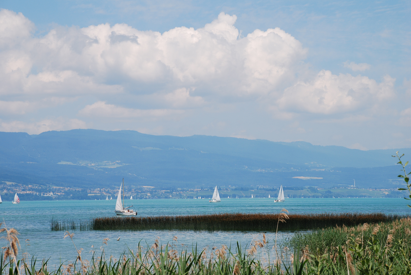 Freundlich gestimmter See im Sommerlicht