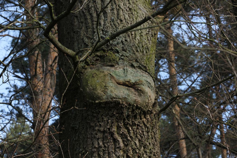 freundliche Begrüssung