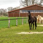 Freundliche Begrüßung