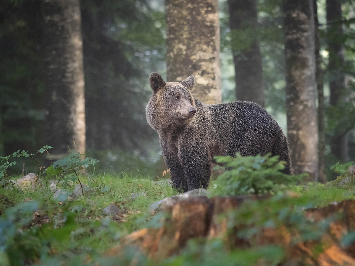 Freundlicher Blick