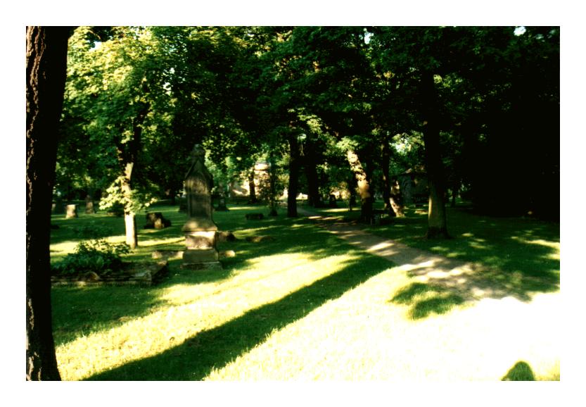 freundlicher Friedhof