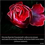 Freundschaft