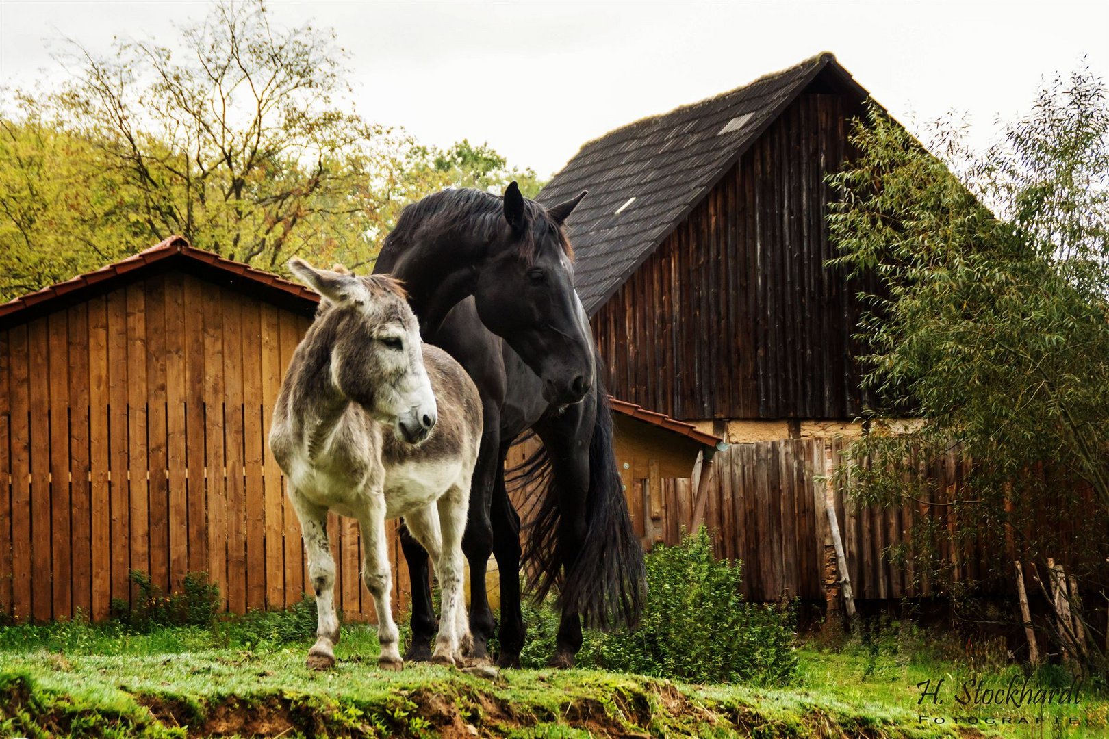 Freundschaft