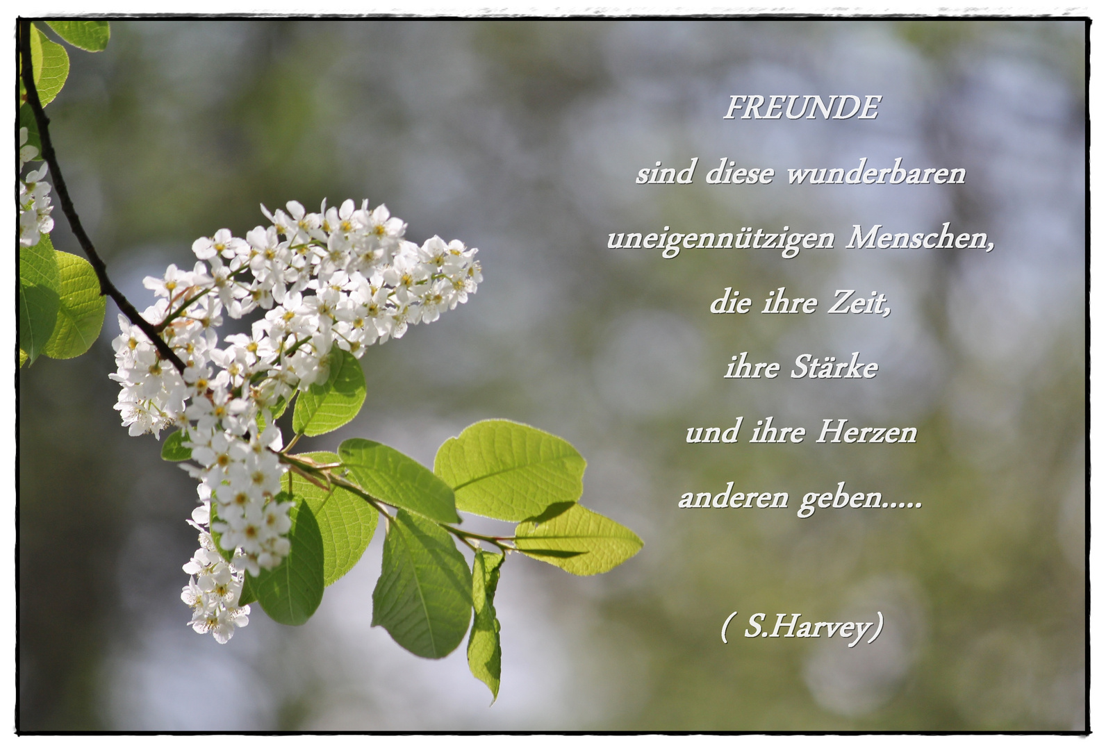 Freundschaft