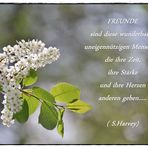 Freundschaft