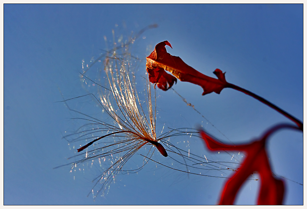 Freundschaft