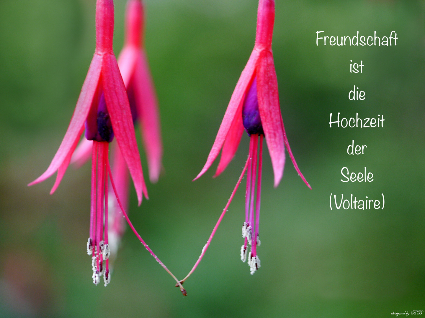 Freundschaft