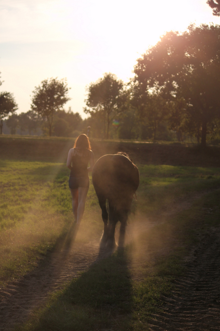 Freundschaft