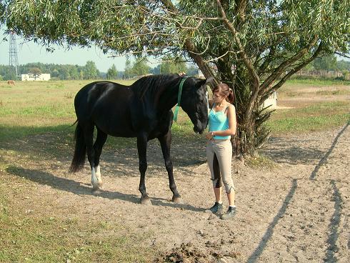 Freundschaft