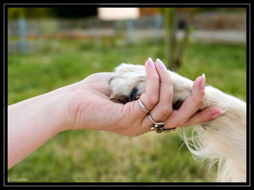 Freundschaft