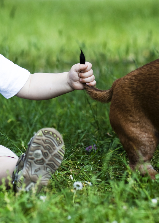 freundschaft