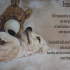 Freundschaft