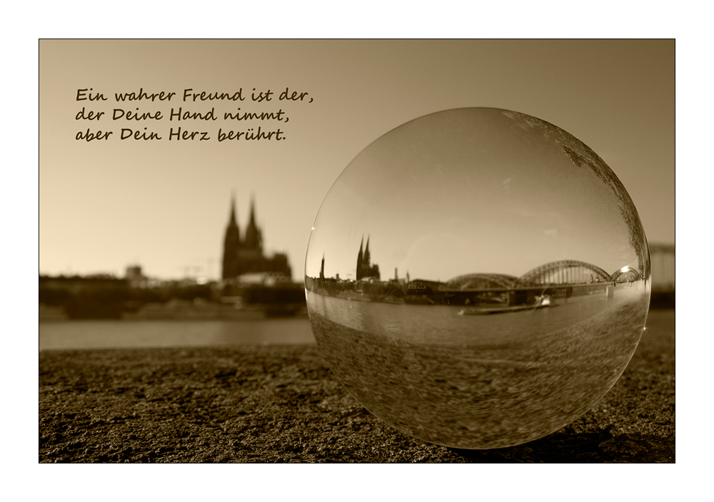 ~~~ Freundschaft ~~~