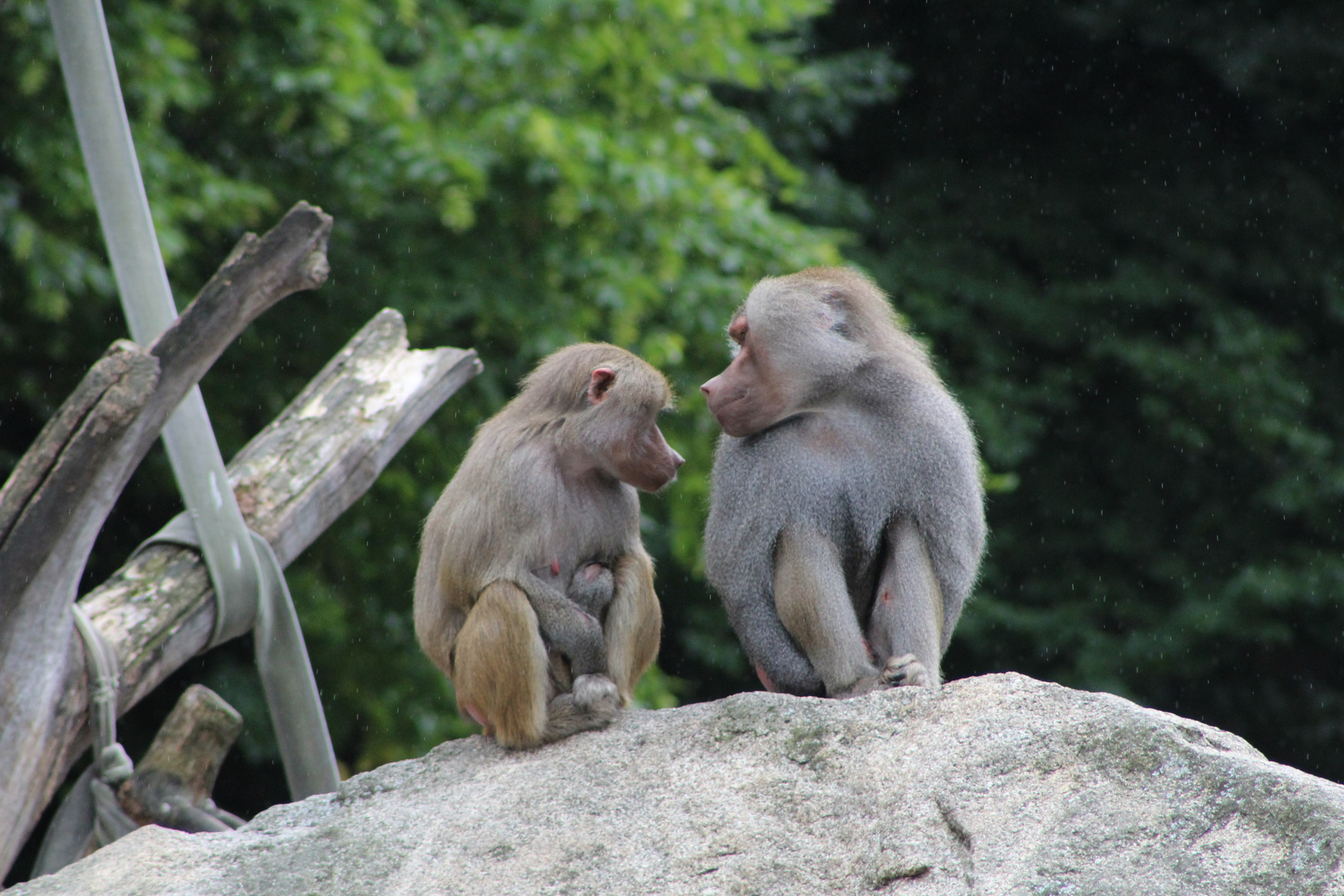 Freundschaft