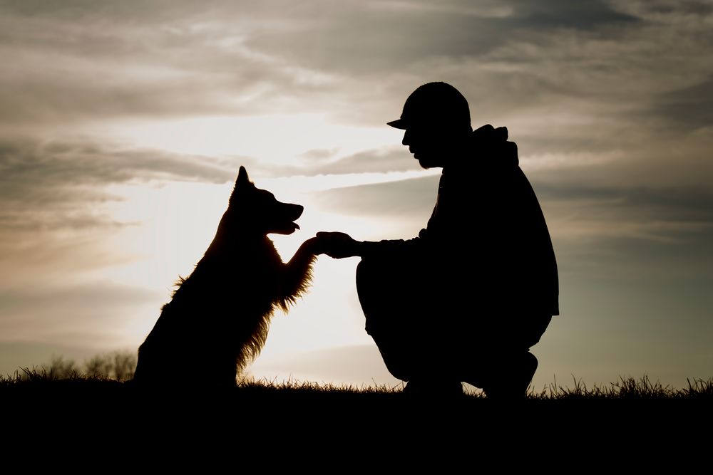 Freundschaft ! Foto & Bild tiere, tier und mensch, portraits Bilder