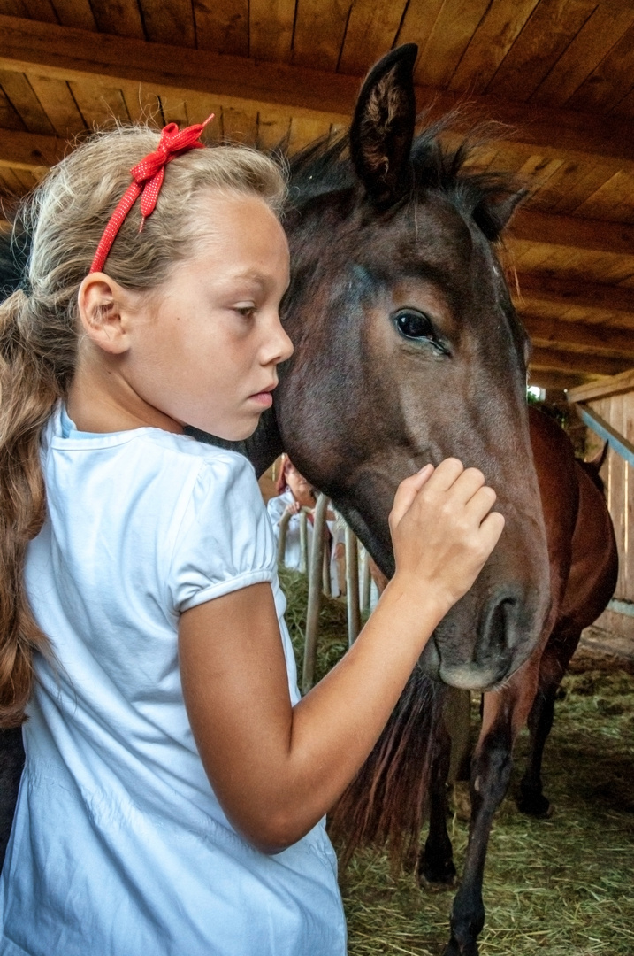 Freundschaft