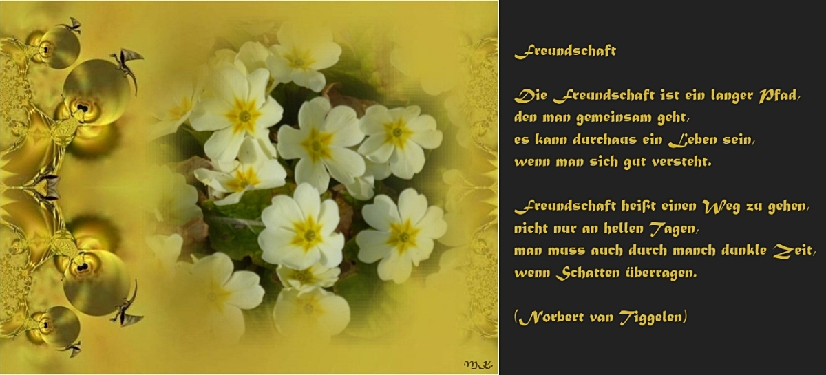 Freundschaft