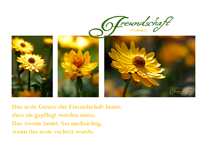 Freundschaft