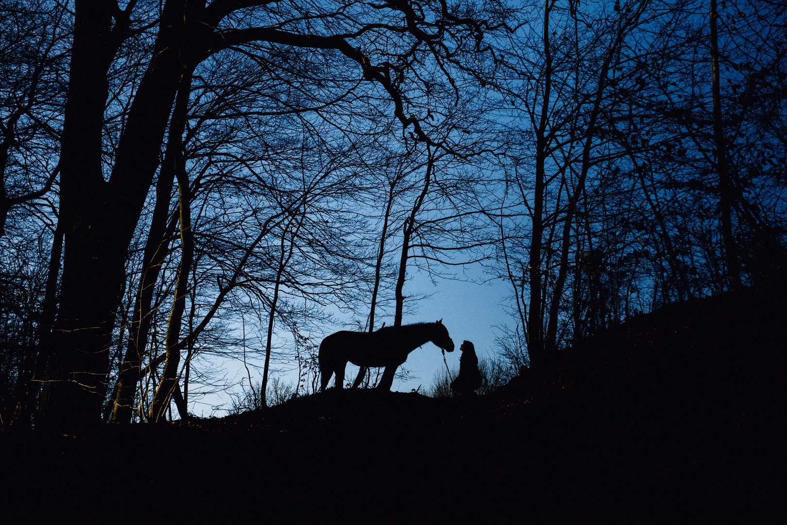 Freundschaft