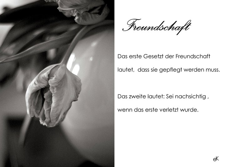 Freundschaft