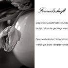 Freundschaft