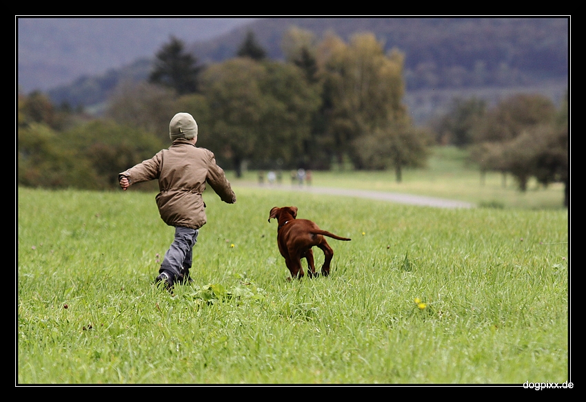 Freundschaft