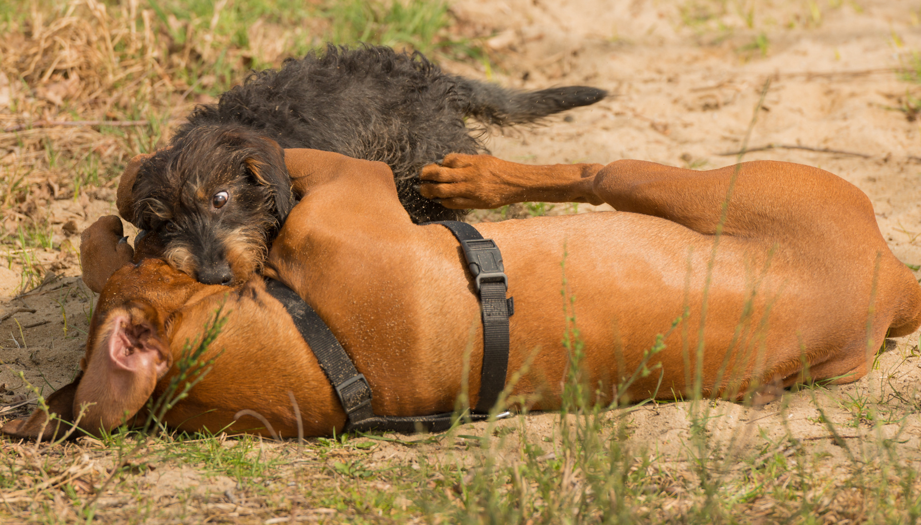 Freundschaft