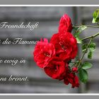 Freundschaft