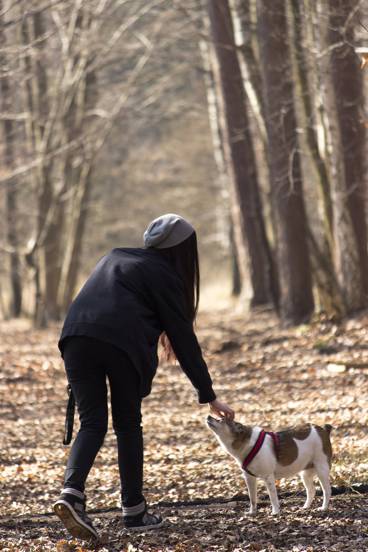 Freundschaft