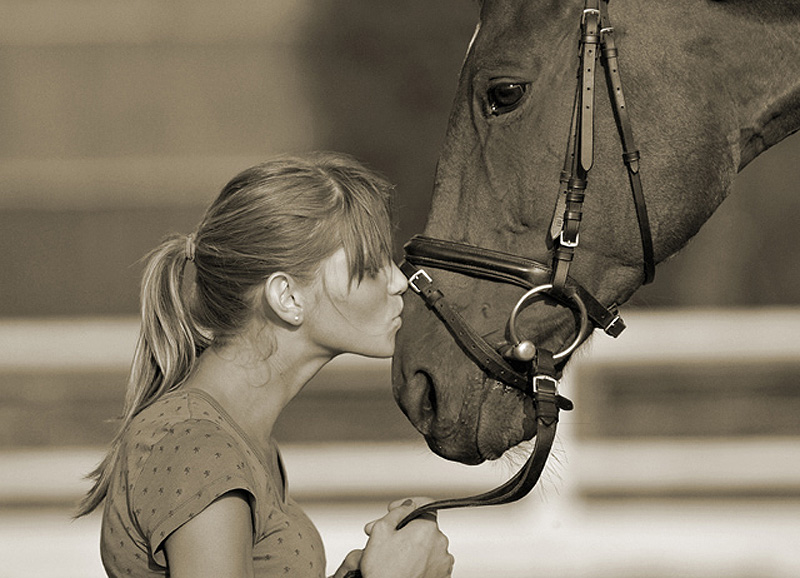 Freundschaft