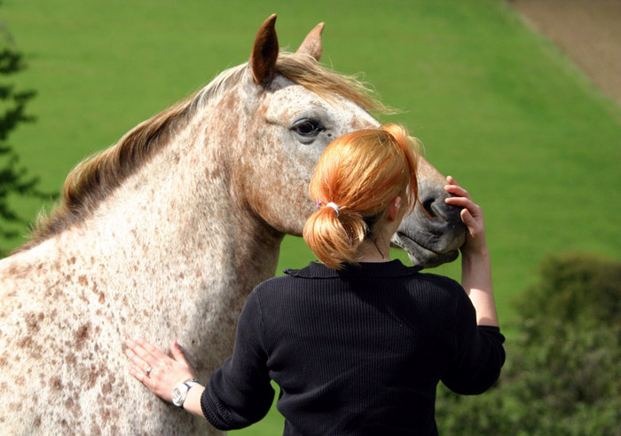 Freundschaft