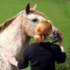 Freundschaft