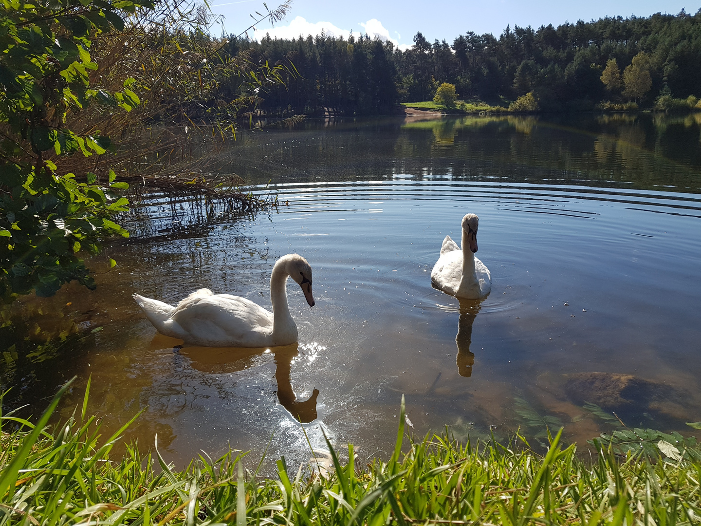 Freundschaft