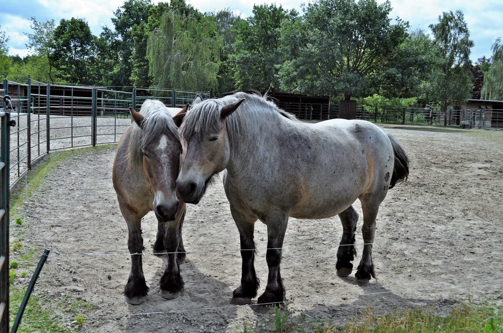 Freundschaft