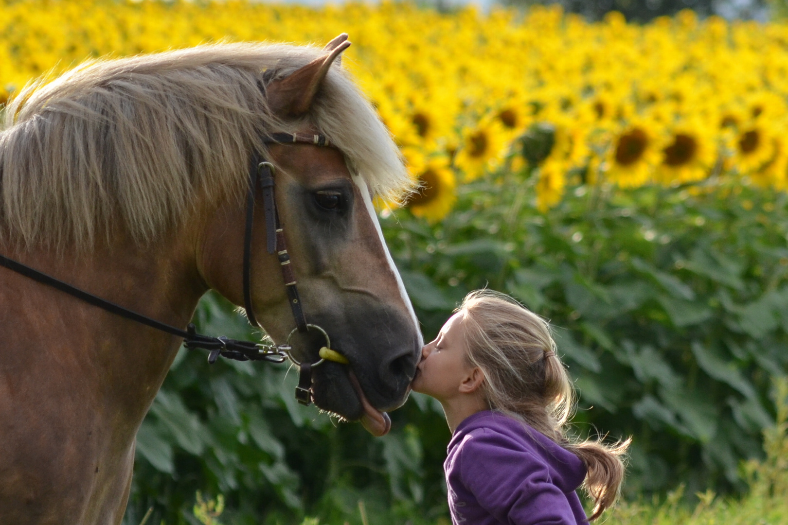 Freundschaft