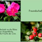 Freundschaft