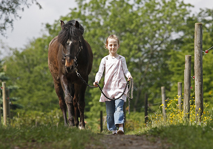 Freundschaft