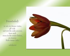 Freundschaft