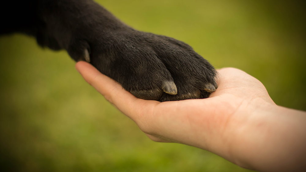 Freundschaft