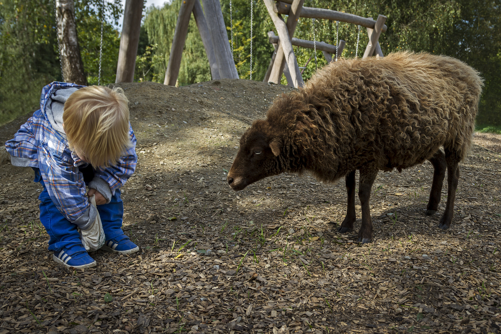 Freundschaft