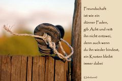 Freundschaft