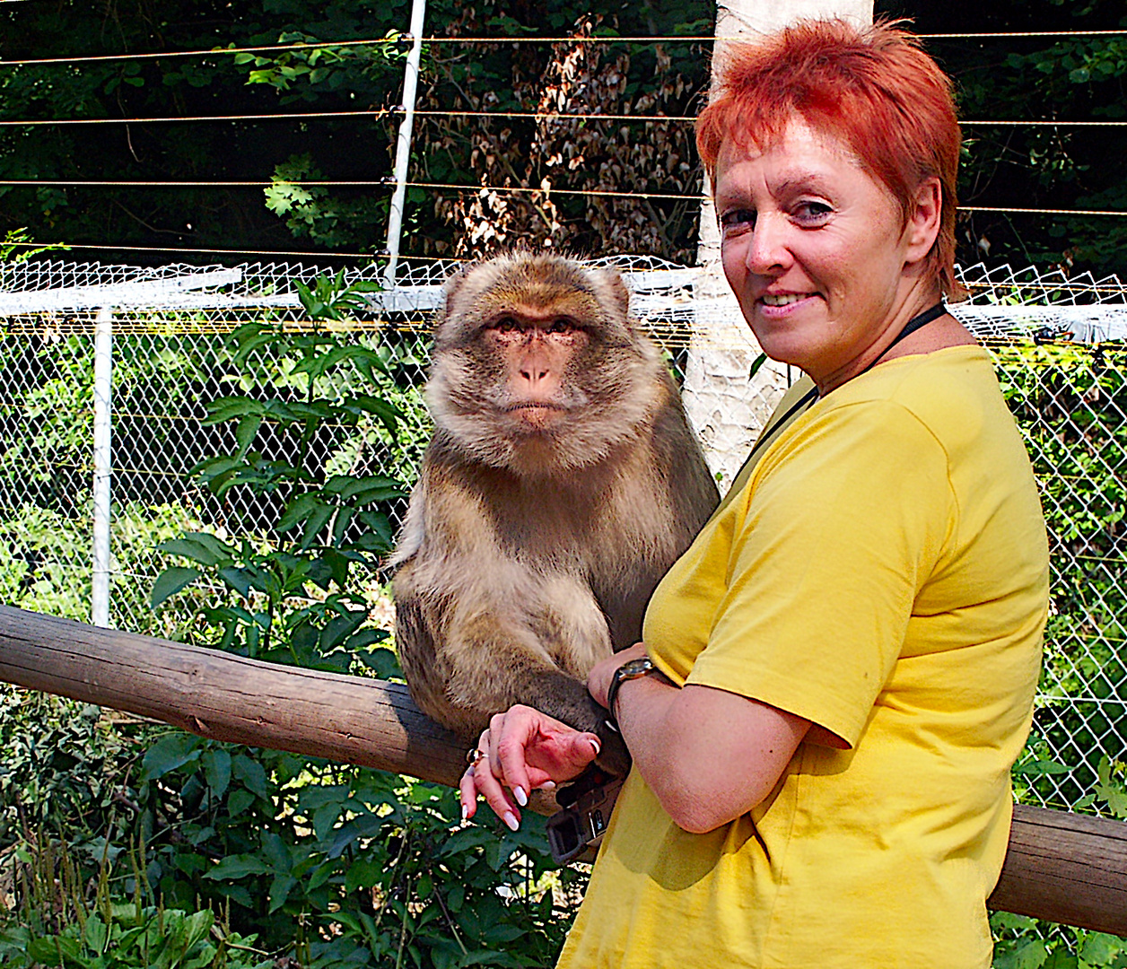 Freundschaft fürs Leben Foto & Bild tiere, tierfreundschaften