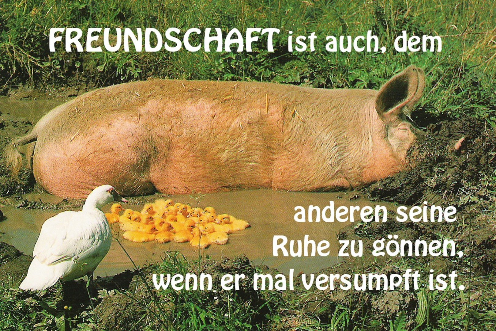 Freundschaft ist auch ...