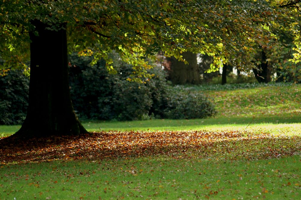 Download Freundschaft ist wie ein baum Free