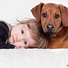 Freundschaft mit einem Rhodesian Ridgeback